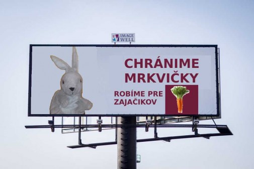 Chránime mrkvičky