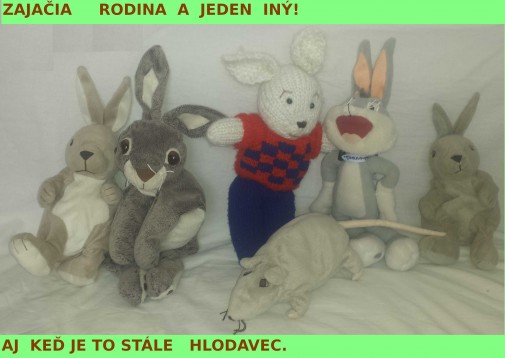 Sme rodina